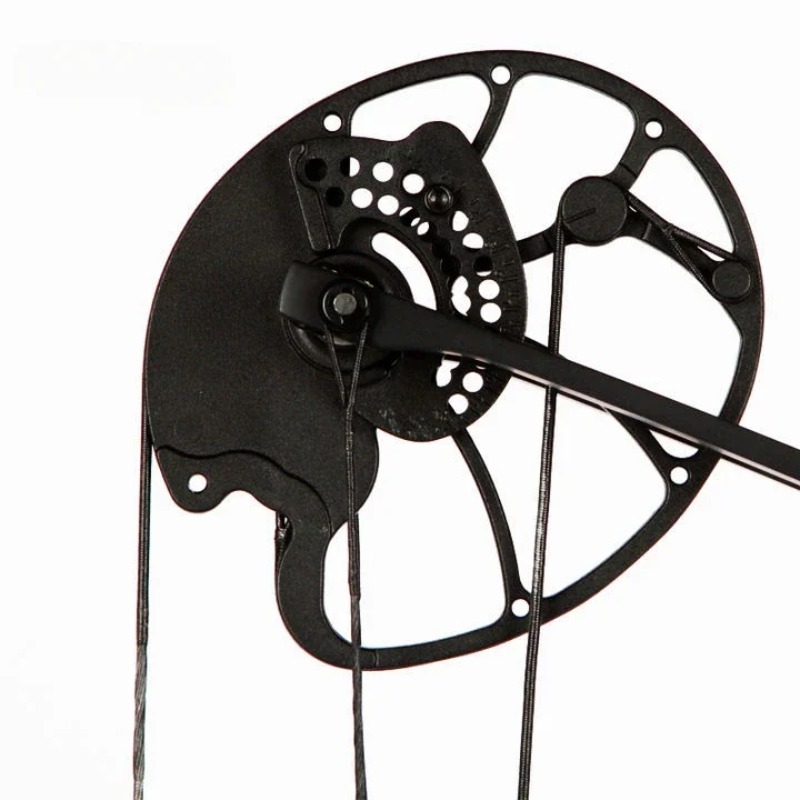 Accmos Archery Dragon X8 Hunti - Outdoor Sport Drawing 리뷰 및 가격