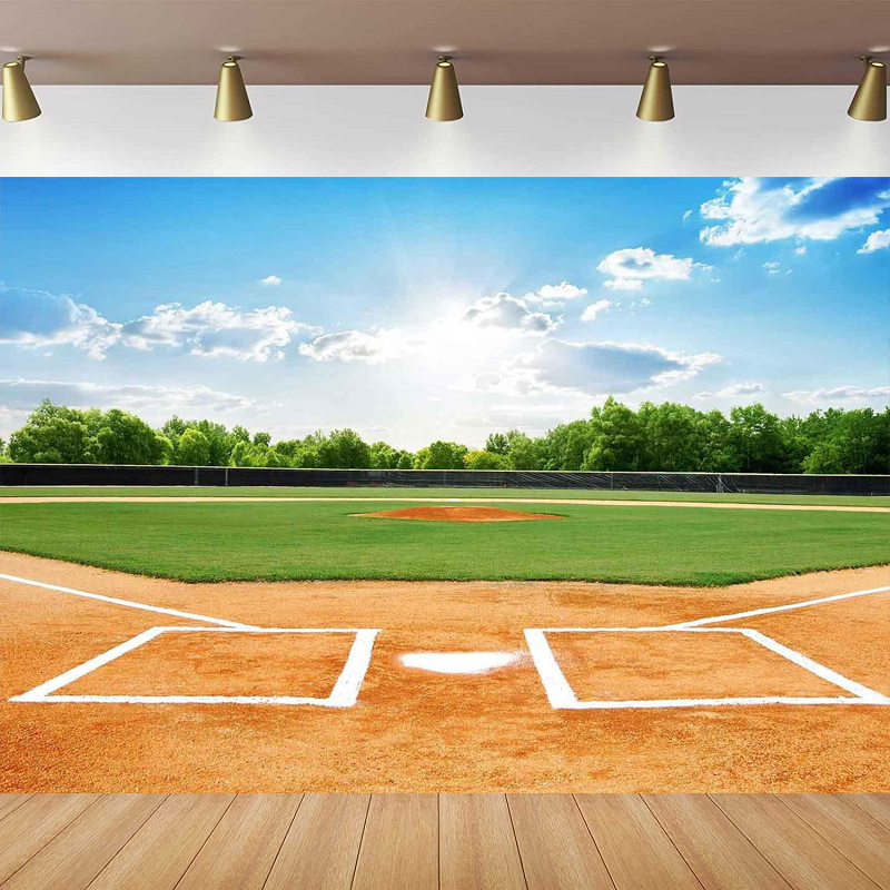 Baseball Field Photography Bac - Outdoor Sport Background 리뷰 및 가격