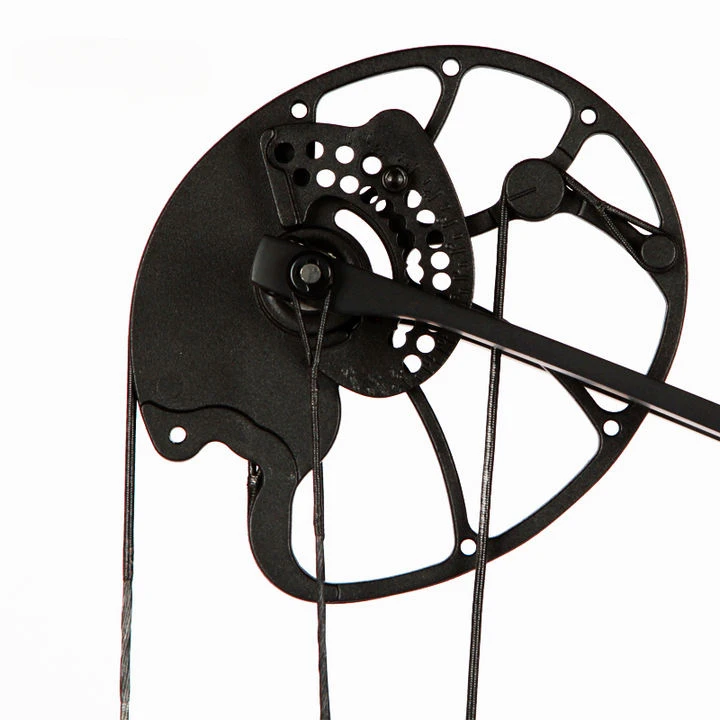Accmos Archery Dragon X8 Hunti - Outdoor Sport Drawing 리뷰 및 가격